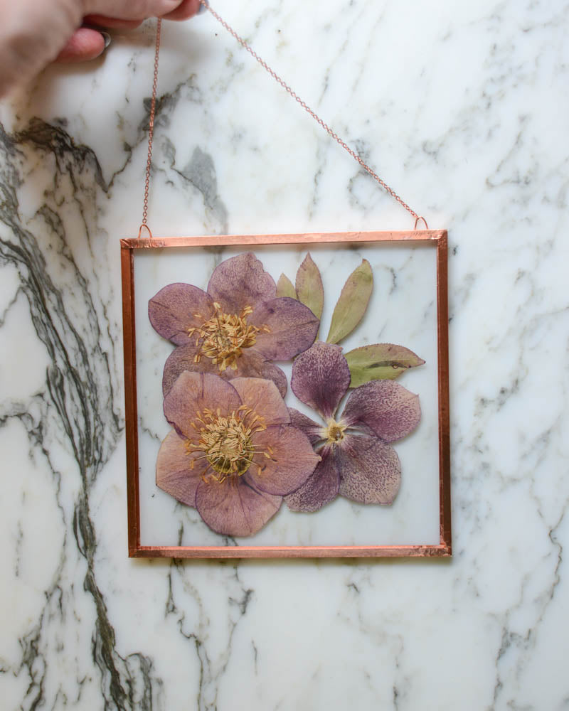 Hellebore - Medium Glass and Copper Wall Hanging