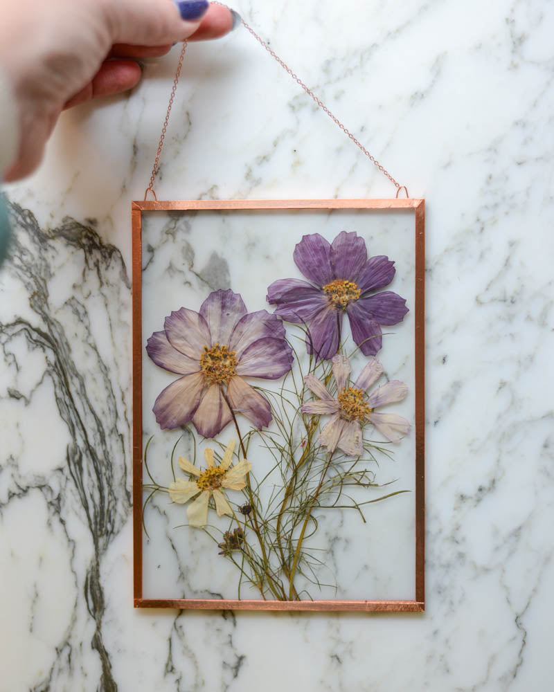 Cosmos - Medium Glass and Copper Wall Hanging