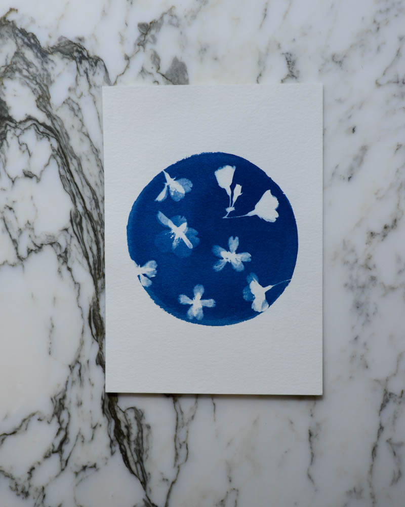 Cyanotype - 5x7" Cherry Blossom Round