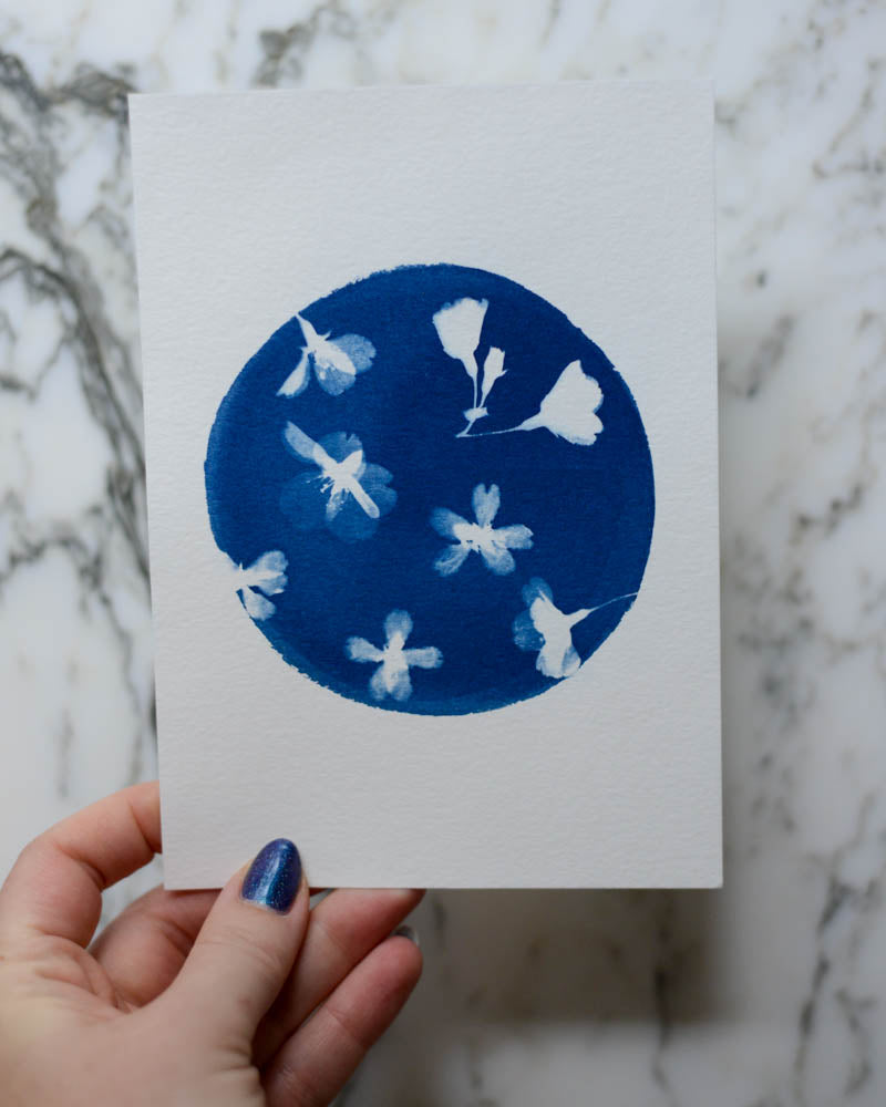 Cyanotype - 5x7" Cherry Blossom Round