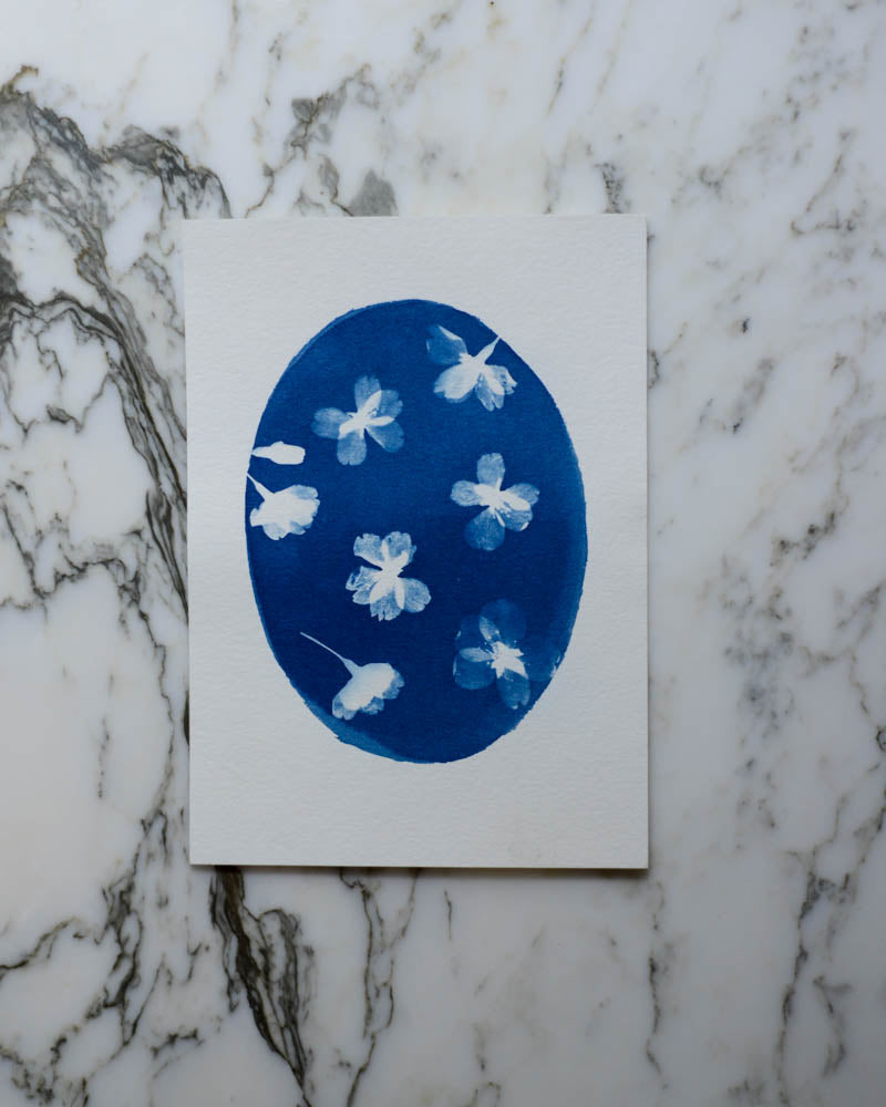 Cyanotype - 5x7" Cherry Blossom Oval