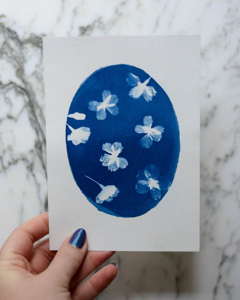 Cyanotype - 5x7" Cherry Blossom Oval