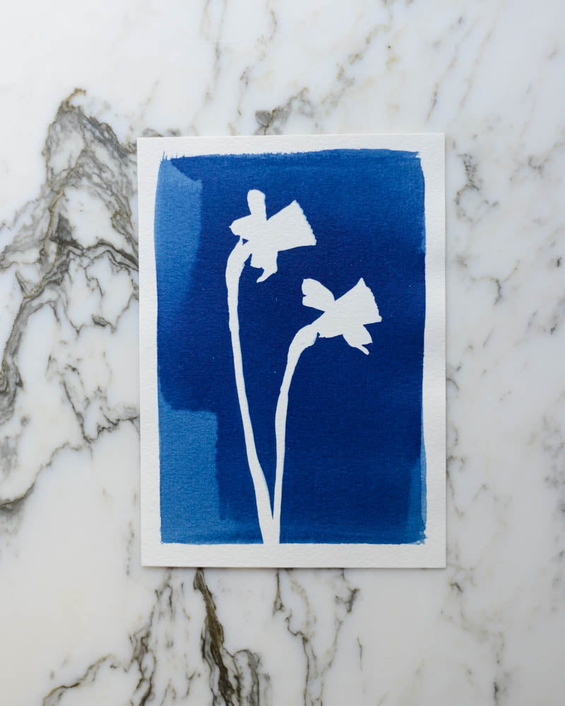 Cyanotype - 5x7" Daffodils