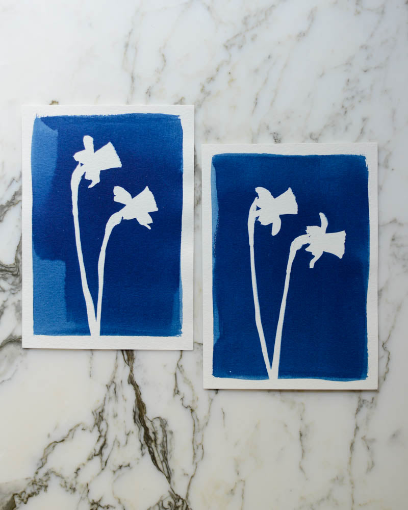 Cyanotype - 5x7" Daffodils