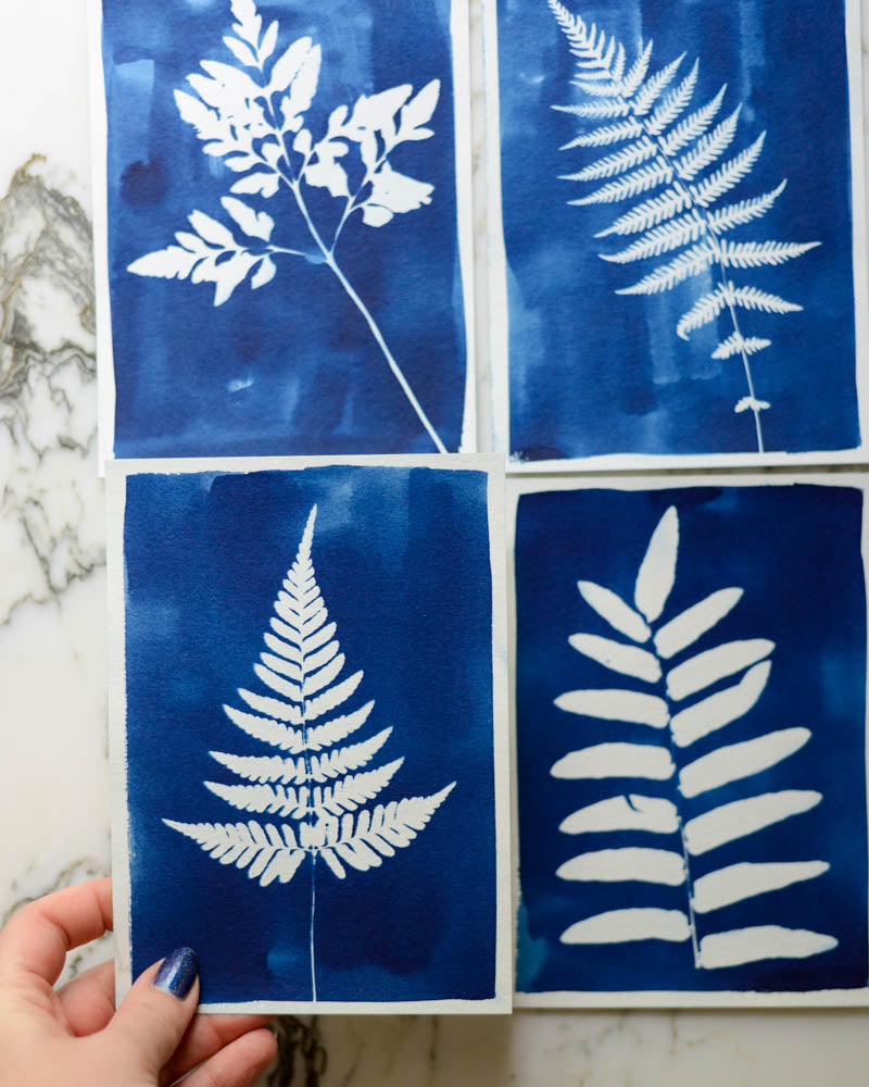 Cyanotype - 5x7" Fern - Set of 4