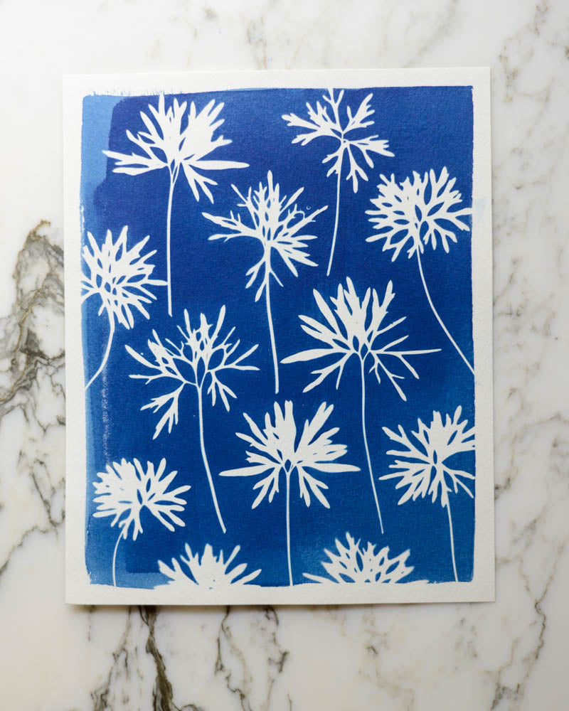 Cyanotype - 8x10" Delphinium Leaves