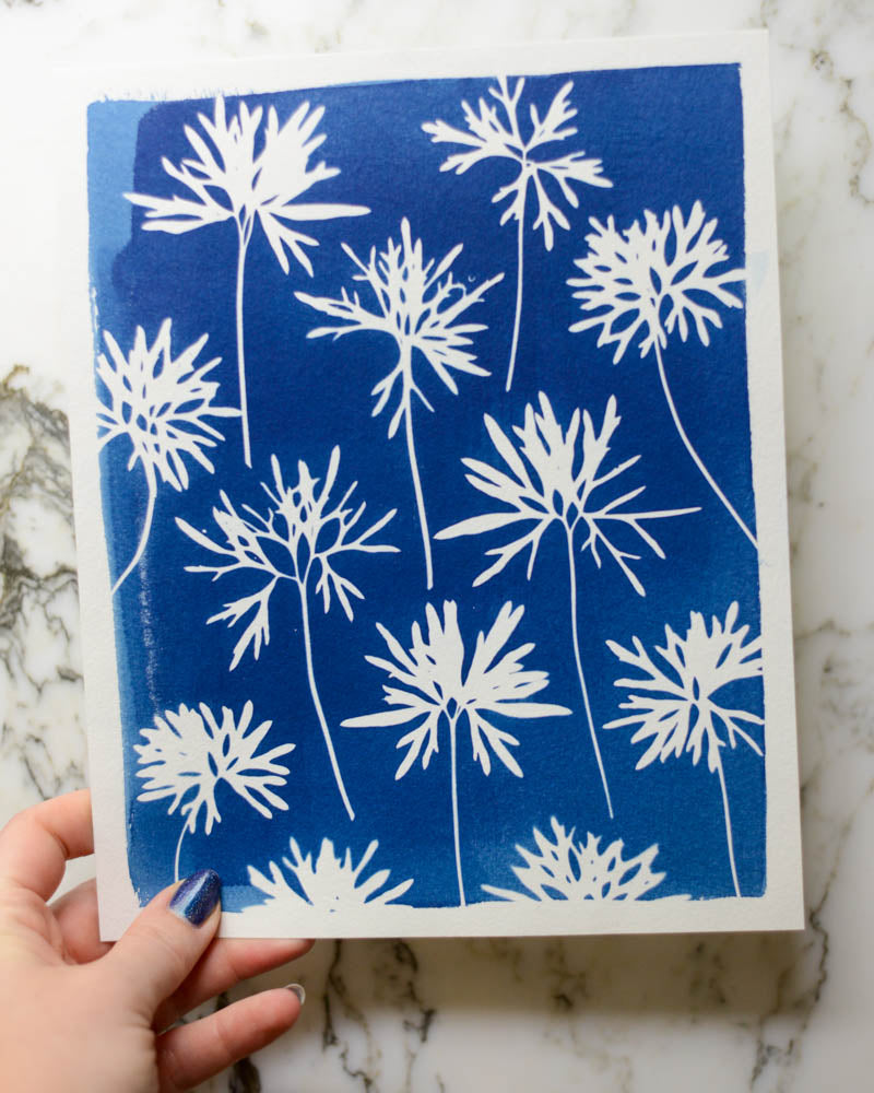 Cyanotype - 8x10" Delphinium Leaves