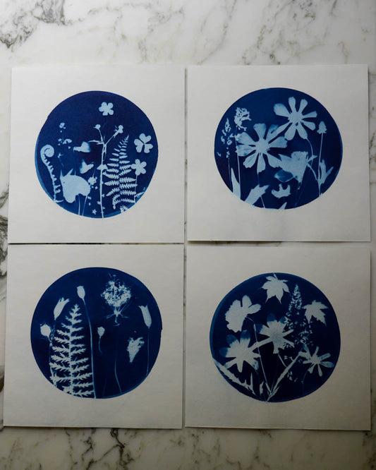 Cyanotype - 8x8" Four Seasons - Set of 4