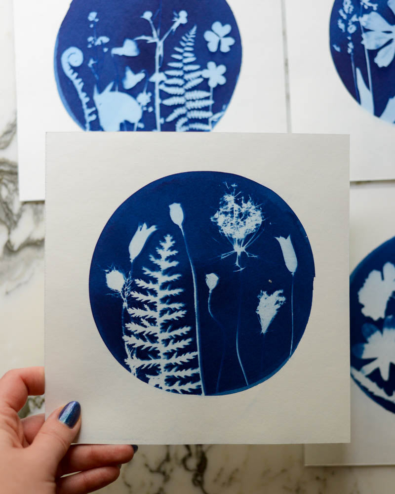 Cyanotype - 8x8" Four Seasons - Set of 4