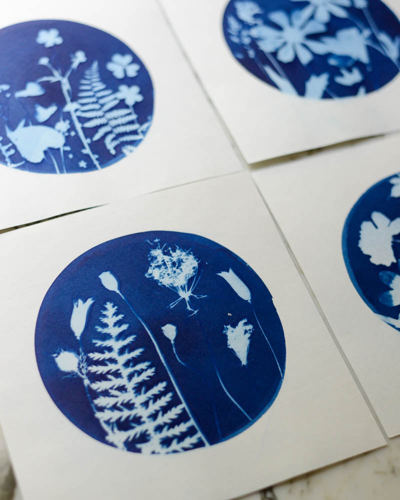 Cyanotype - 8x8" Four Seasons - Set of 4