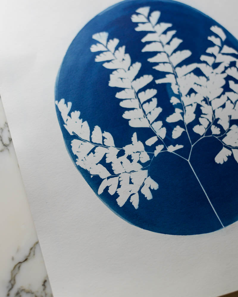 Cyanotype - 11x14" Maidenhair Fern Cameo