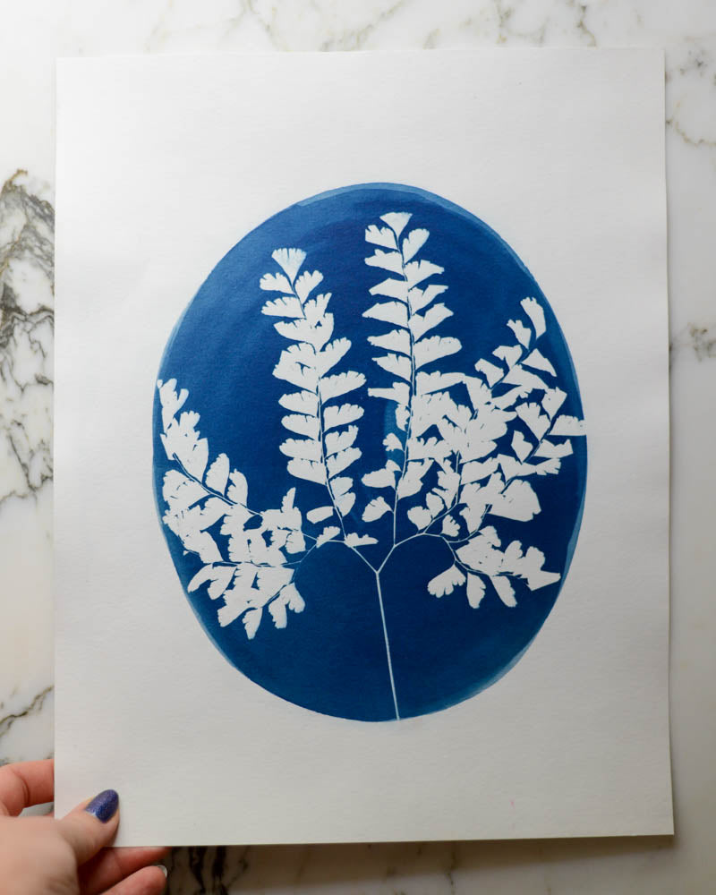 Cyanotype - 11x14" Maidenhair Fern Cameo