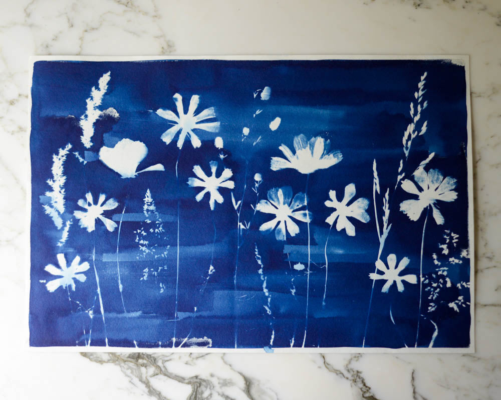 Cyanotype - 12x18" Cosmos Meadow
