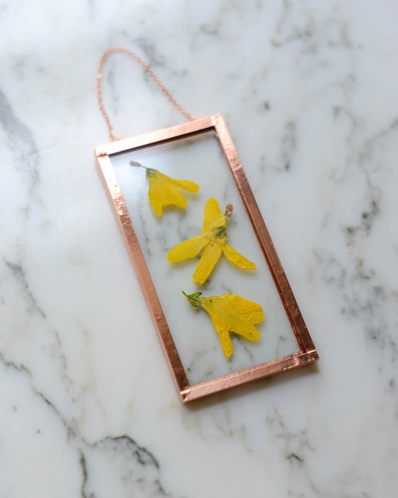 Forsythia - Small Glass and Copper Wall Hanging