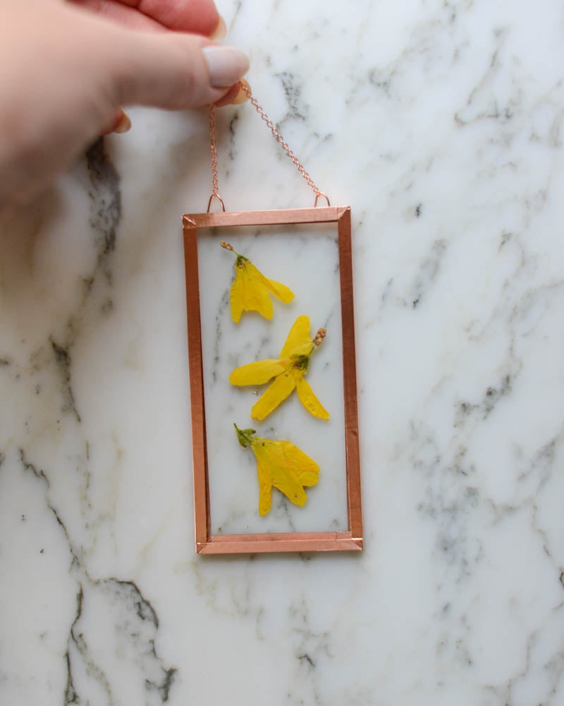 Forsythia - Small Glass and Copper Wall Hanging