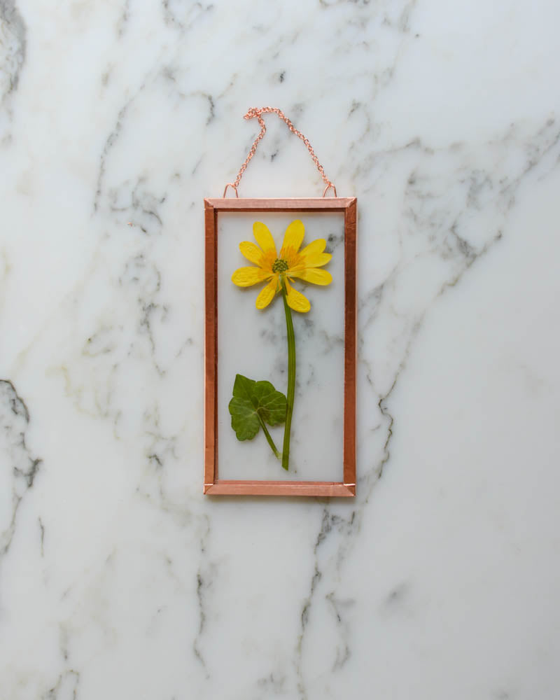 Celandine - Small Glass and Copper Wall Hanging