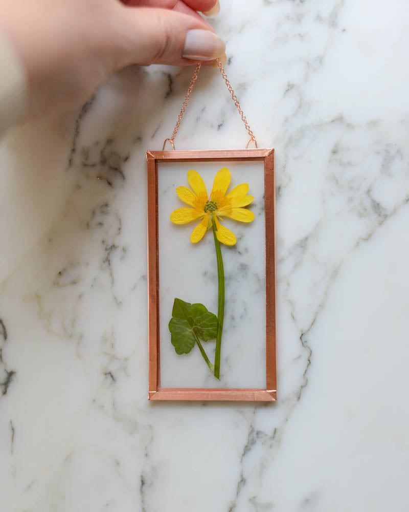 Celandine - Small Glass and Copper Wall Hanging