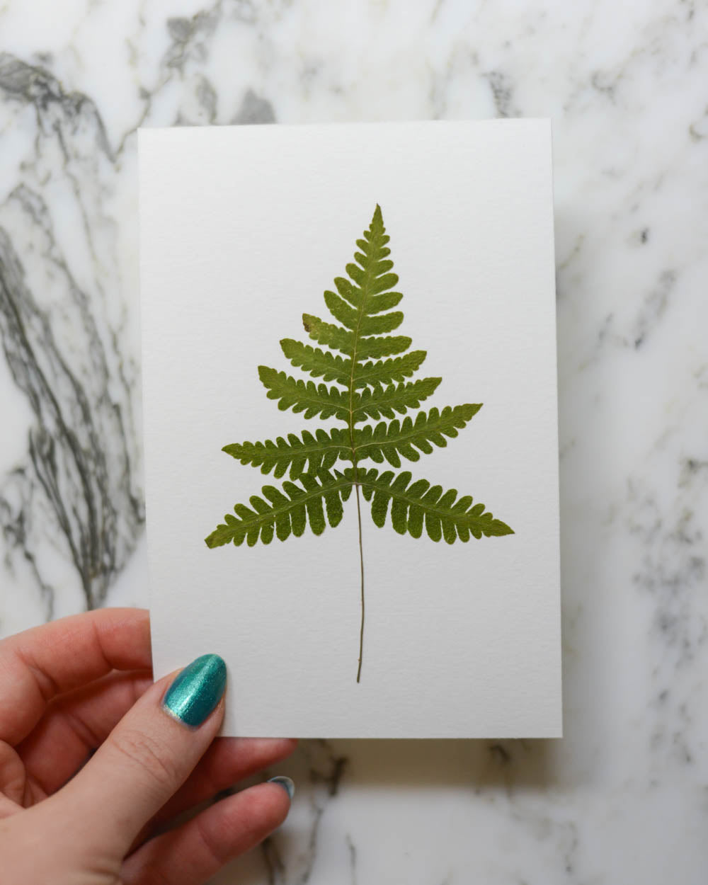 Unframed Botanicals 4x6" - 1