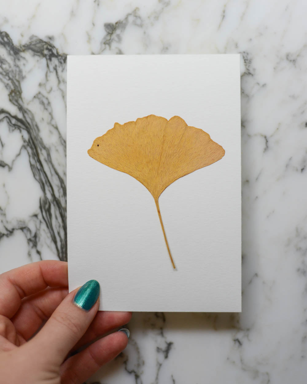 Unframed Botanicals 4x6" - 2