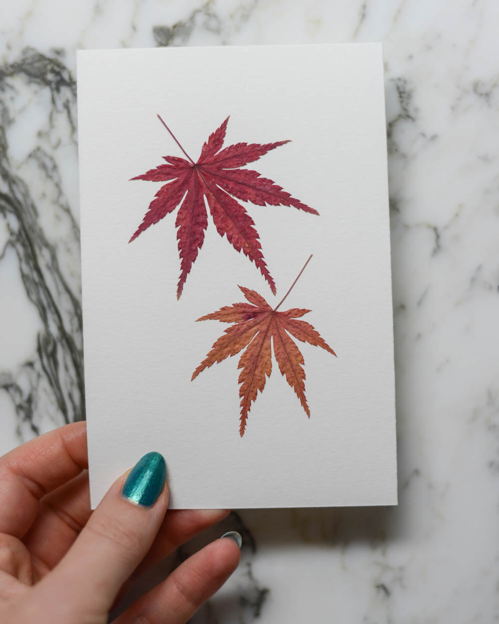 Unframed Botanicals 4x6" - 13