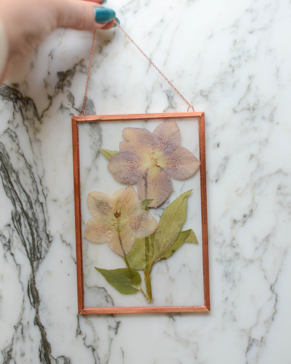 Hellebore - Medium Glass and Copper Wall Hanging