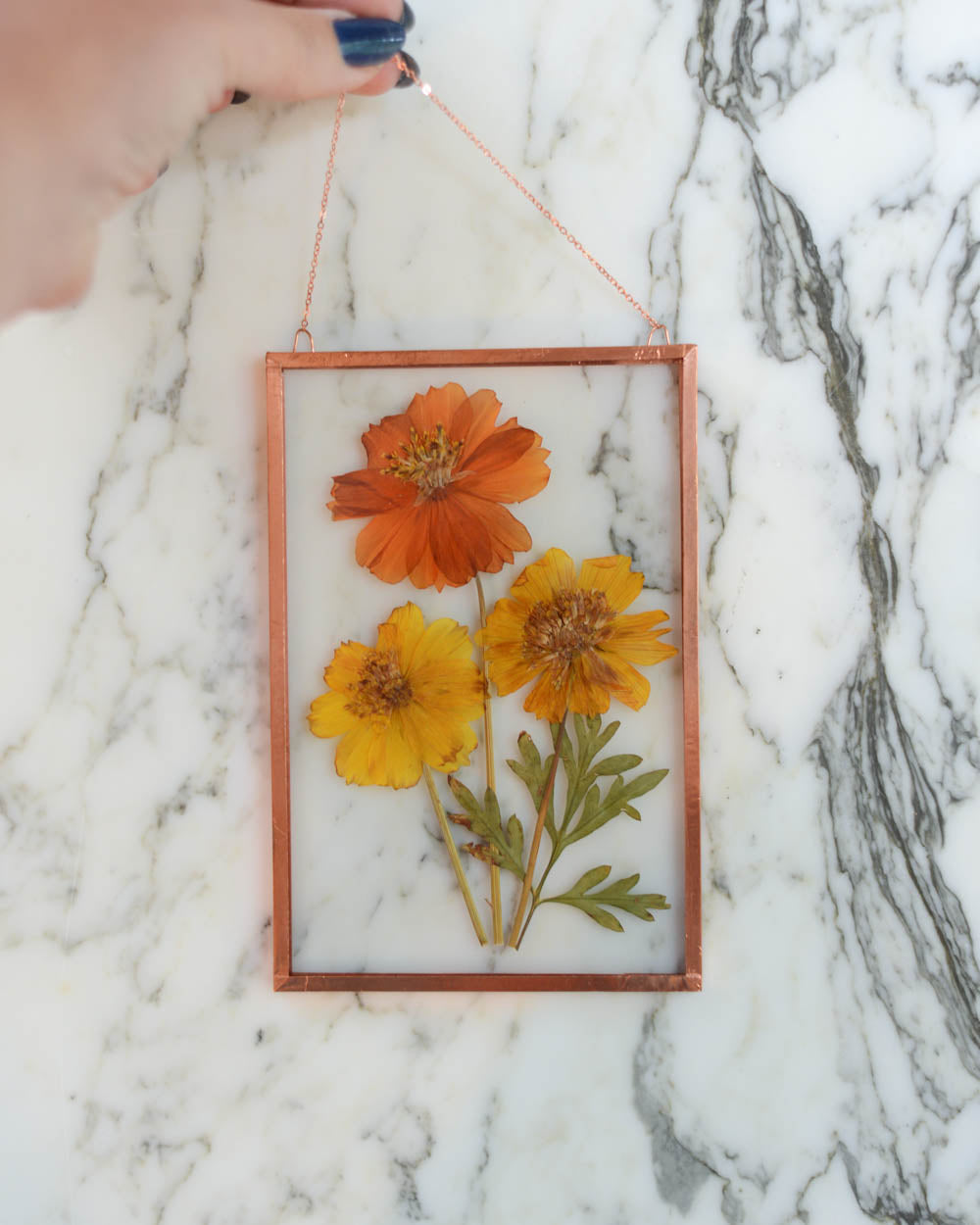 Cosmos - Medium Glass and Copper Wall Hanging