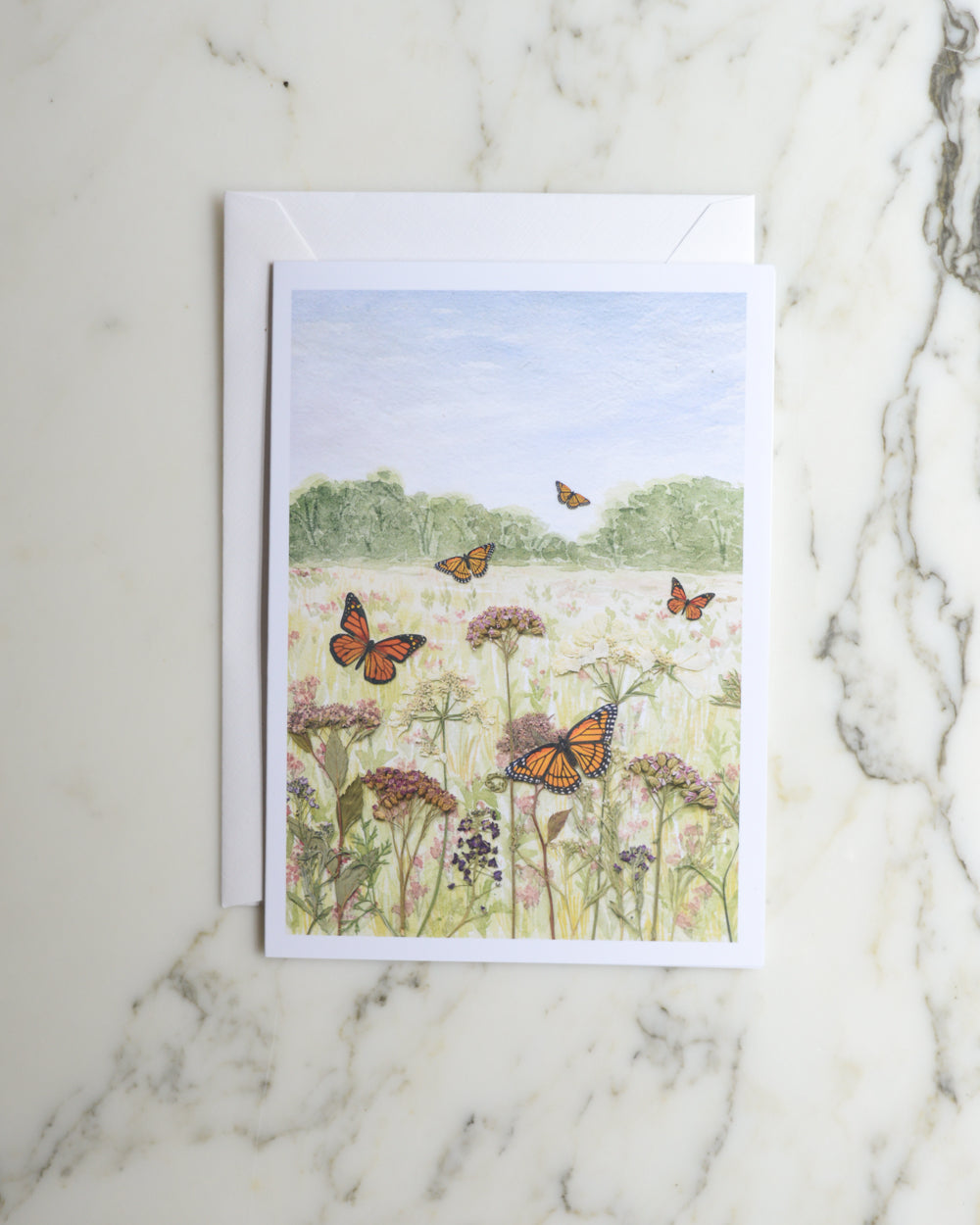 Butterfly Meadows - Blank Watercolor Greeting Cards, set of 4+ with envelopes