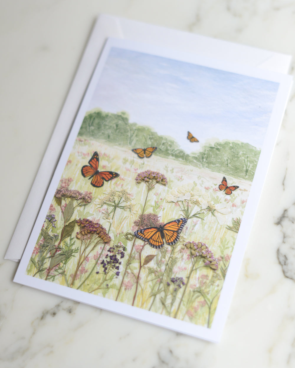 Butterfly Meadow, Individual Blank Greeting Card