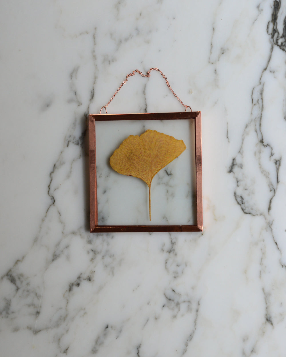 Golden Ginkgo - Glass and Copper Wall Hanging