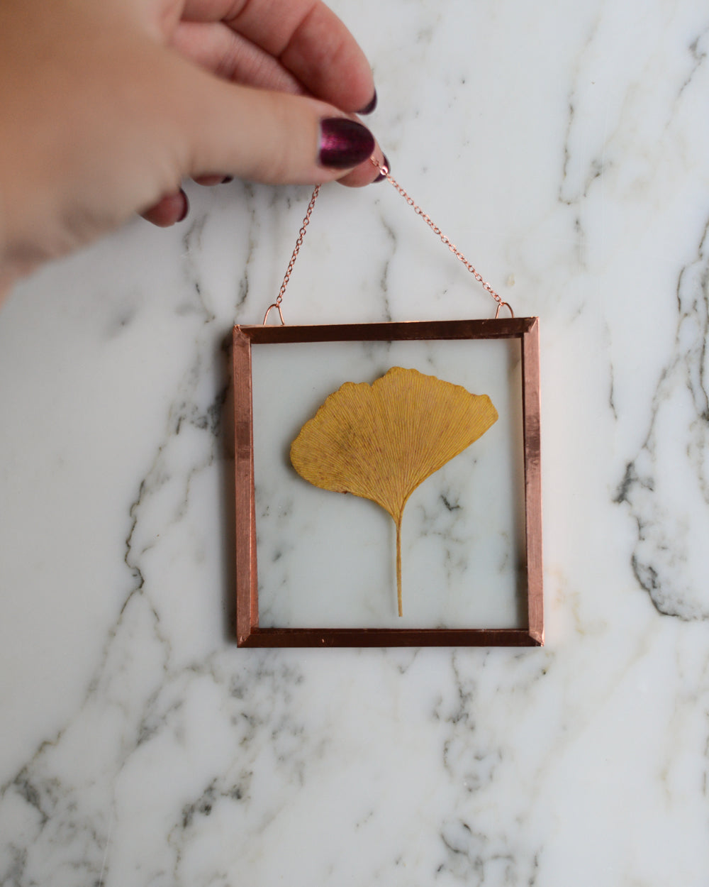 Golden Ginkgo - Glass and Copper Wall Hanging