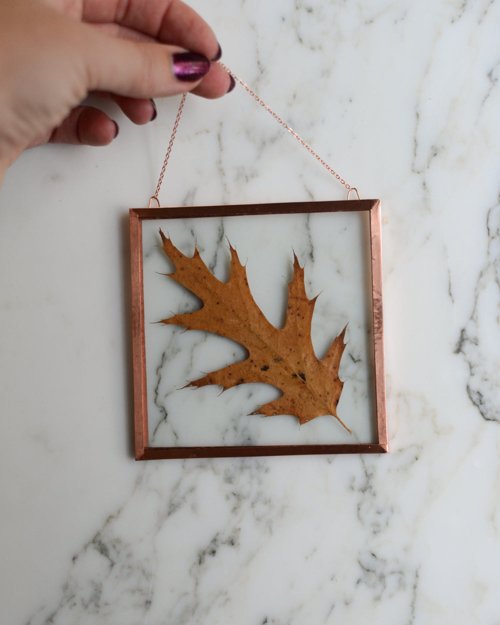 Golden Oak - Glass and Copper Wall Hanging