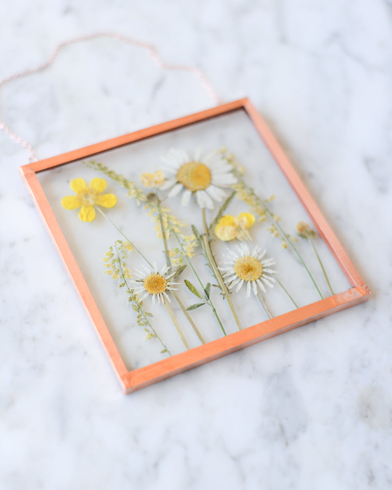 Daisy Meadow - Small Glass and Copper Wall Hanging