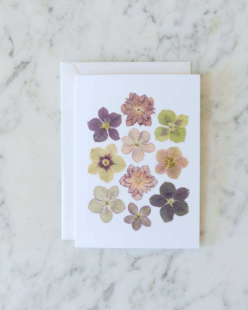 Hellebore, Individual Blank Greeting Card