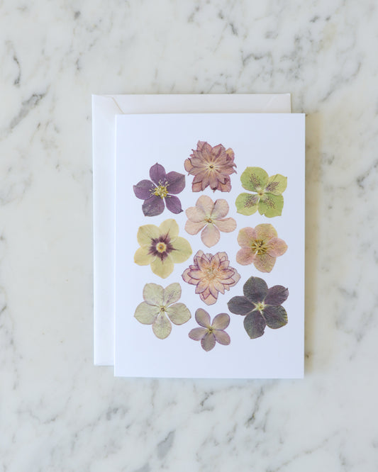 Hellebore, Individual Blank Greeting Card