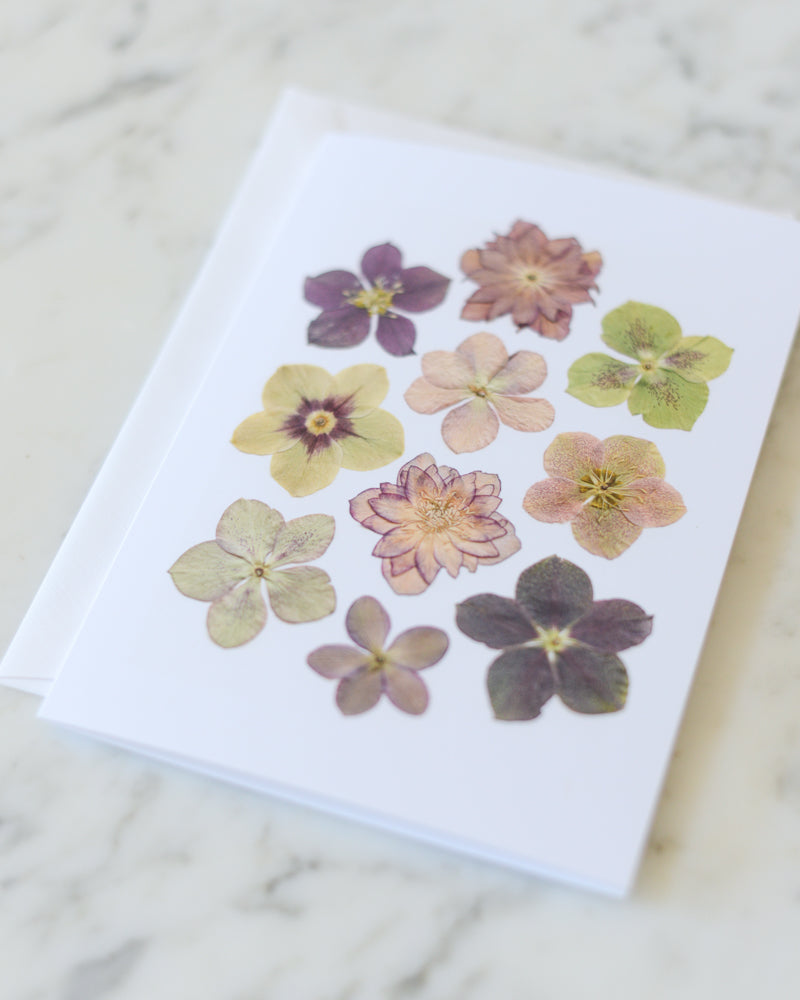 Hellebore, Individual Blank Greeting Card