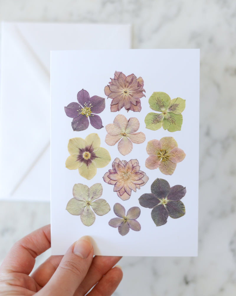 Hellebore, Individual Blank Greeting Card