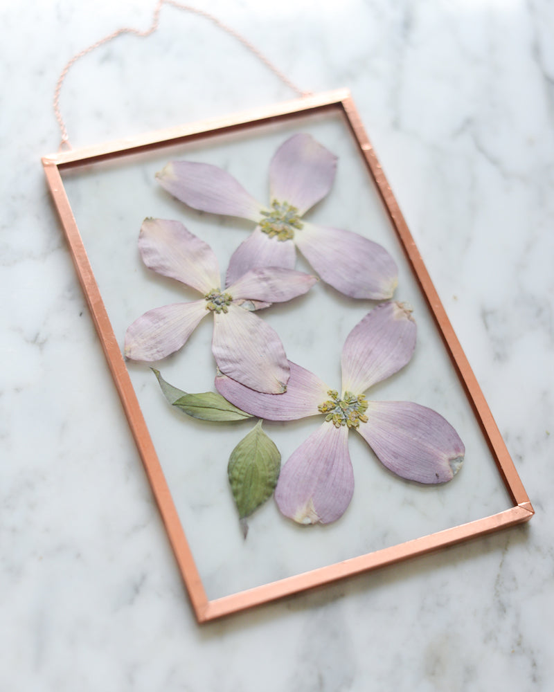 Pink Dogwood - Glass and Copper Wall Hanging