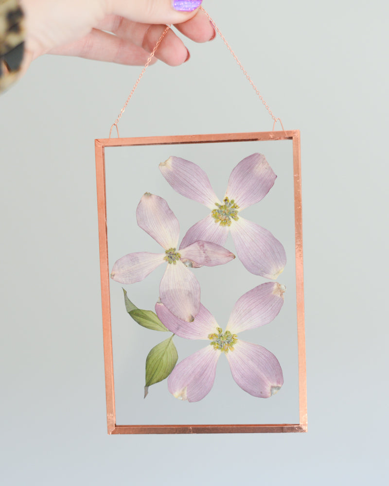 Pink Dogwood - Glass and Copper Wall Hanging
