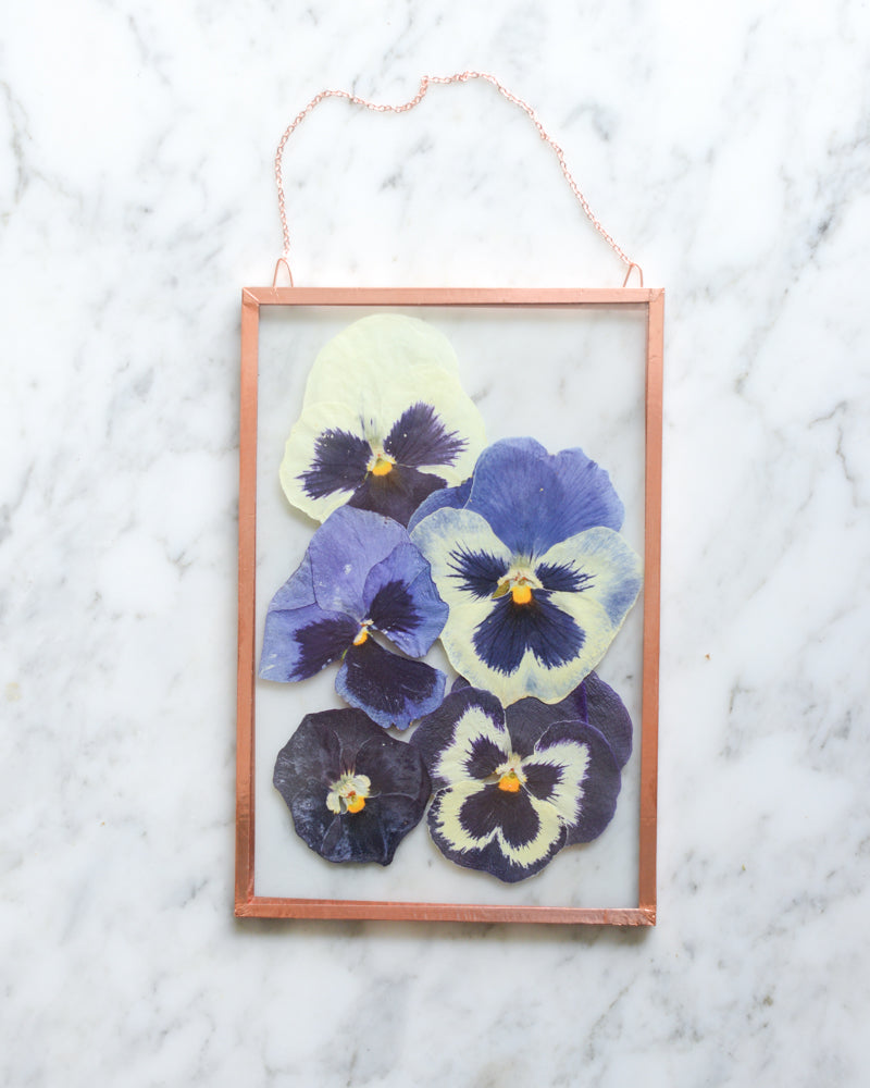 Pansy Ombre - Glass and Copper Wall Hanging