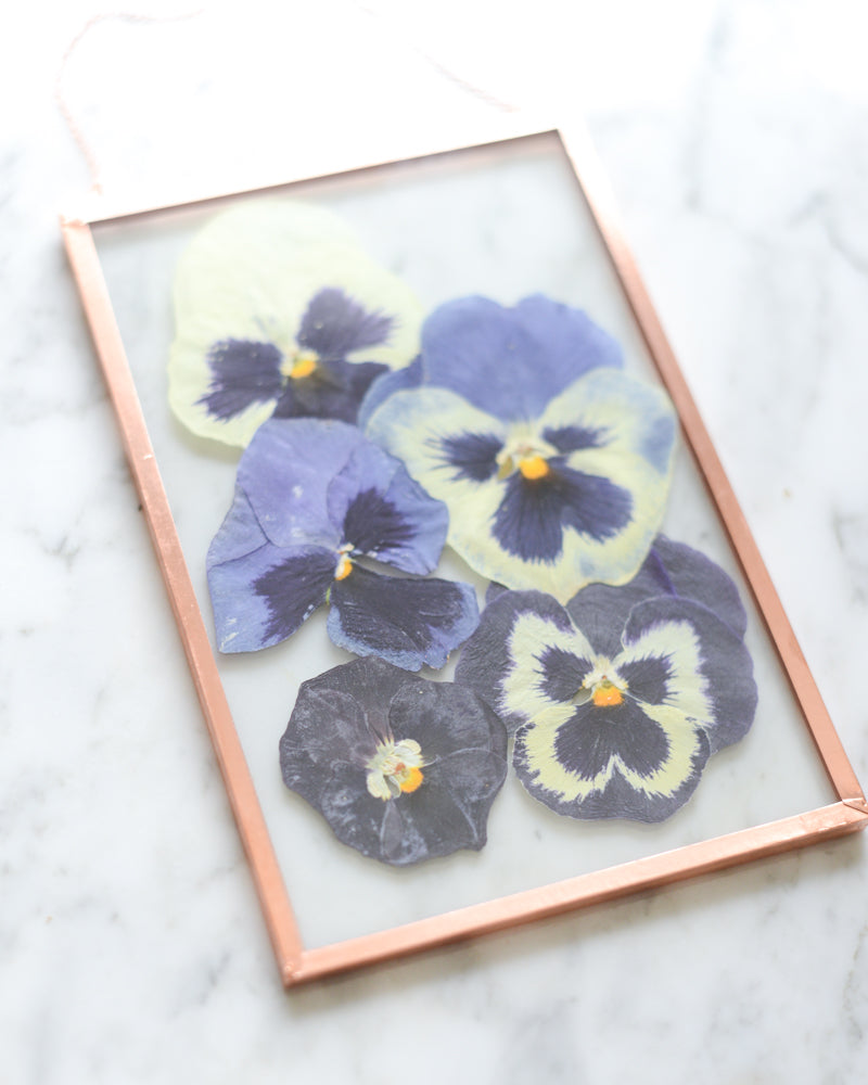 Pansy Ombre - Glass and Copper Wall Hanging