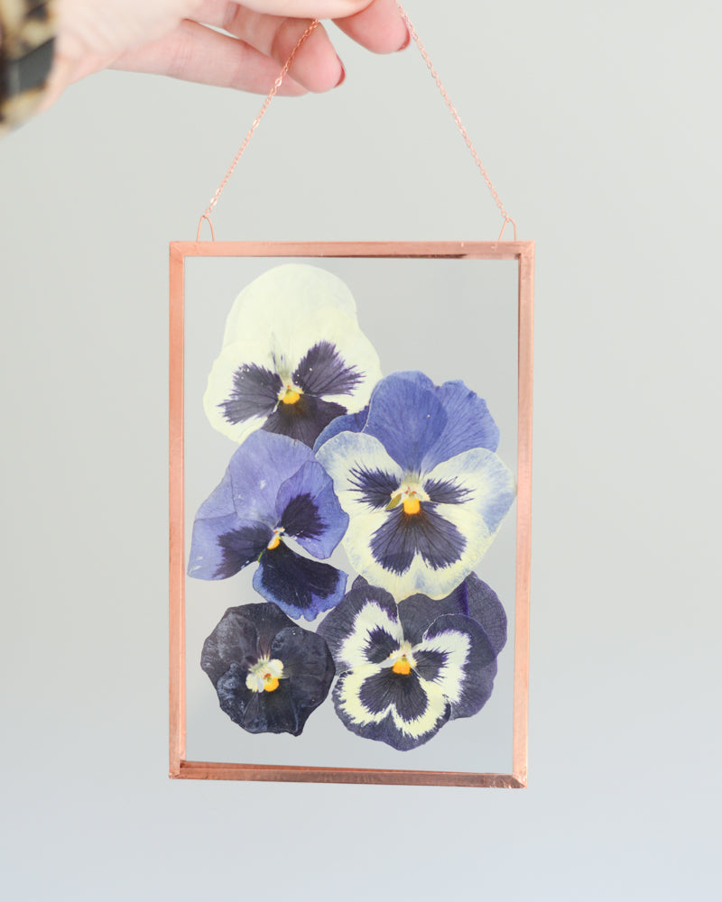 Pansy Ombre - Glass and Copper Wall Hanging