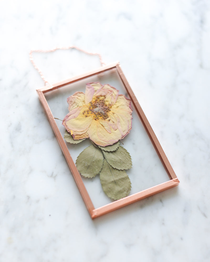 Peach Rose - Small Glass and Copper Wall Hanging
