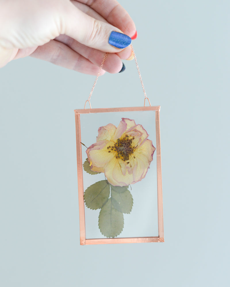 Peach Rose - Small Glass and Copper Wall Hanging