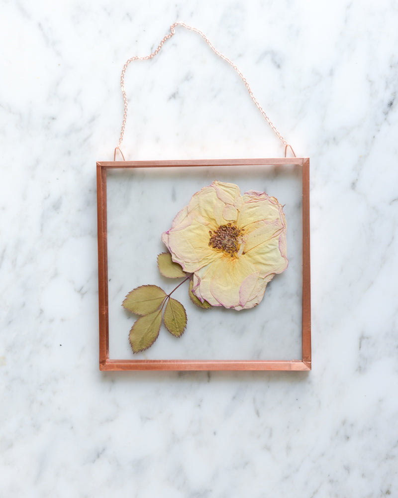 Peach Rose - Small Glass and Copper Wall Hanging