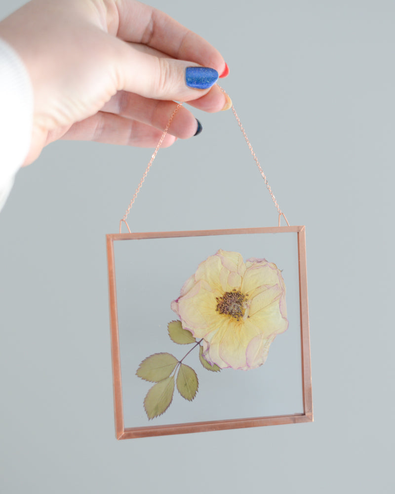 Peach Rose - Small Glass and Copper Wall Hanging