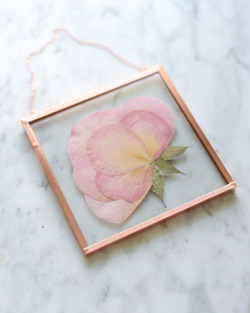 Pink Rose - Small Glass and Copper Wall Hanging