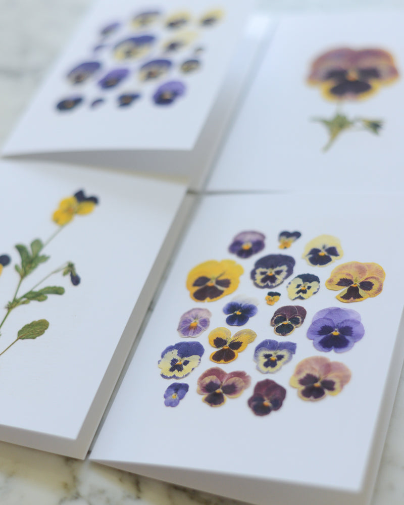 Pansies - Blank Greeting Cards, set of 4+ with envelopes