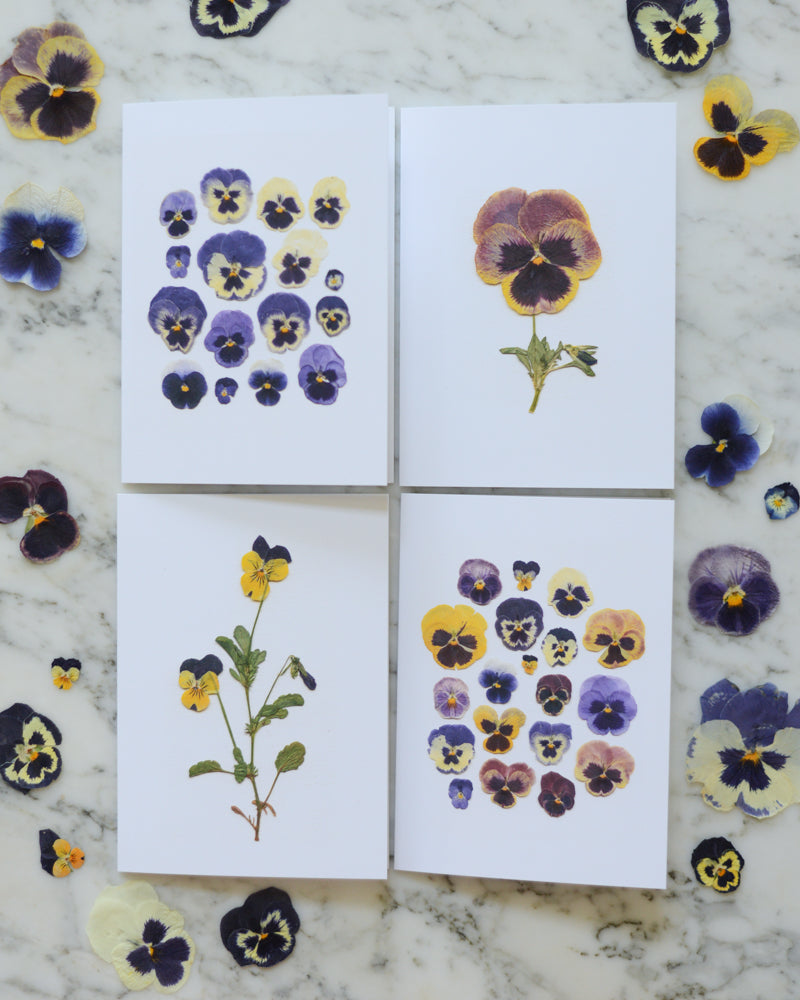Pansies - Blank Greeting Cards, set of 4+ with envelopes