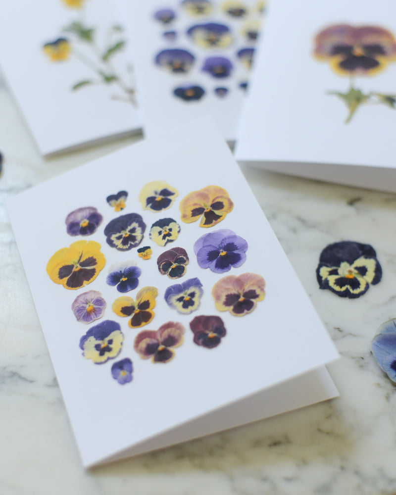 Pansies - Blank Greeting Cards, set of 4+ with envelopes