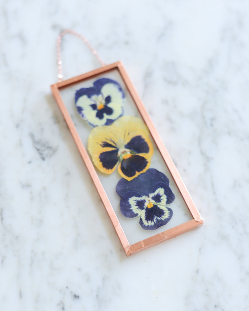 Pansies - Small Glass and Copper Wall Hanging